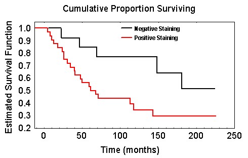 The Kaplan-Meier estimate of the survivor function for women with negatively and positively stained tumours